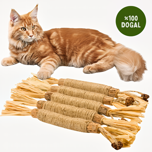 Kediler İçin Doğal Diş Bakımı ve Oyun Çubuğu