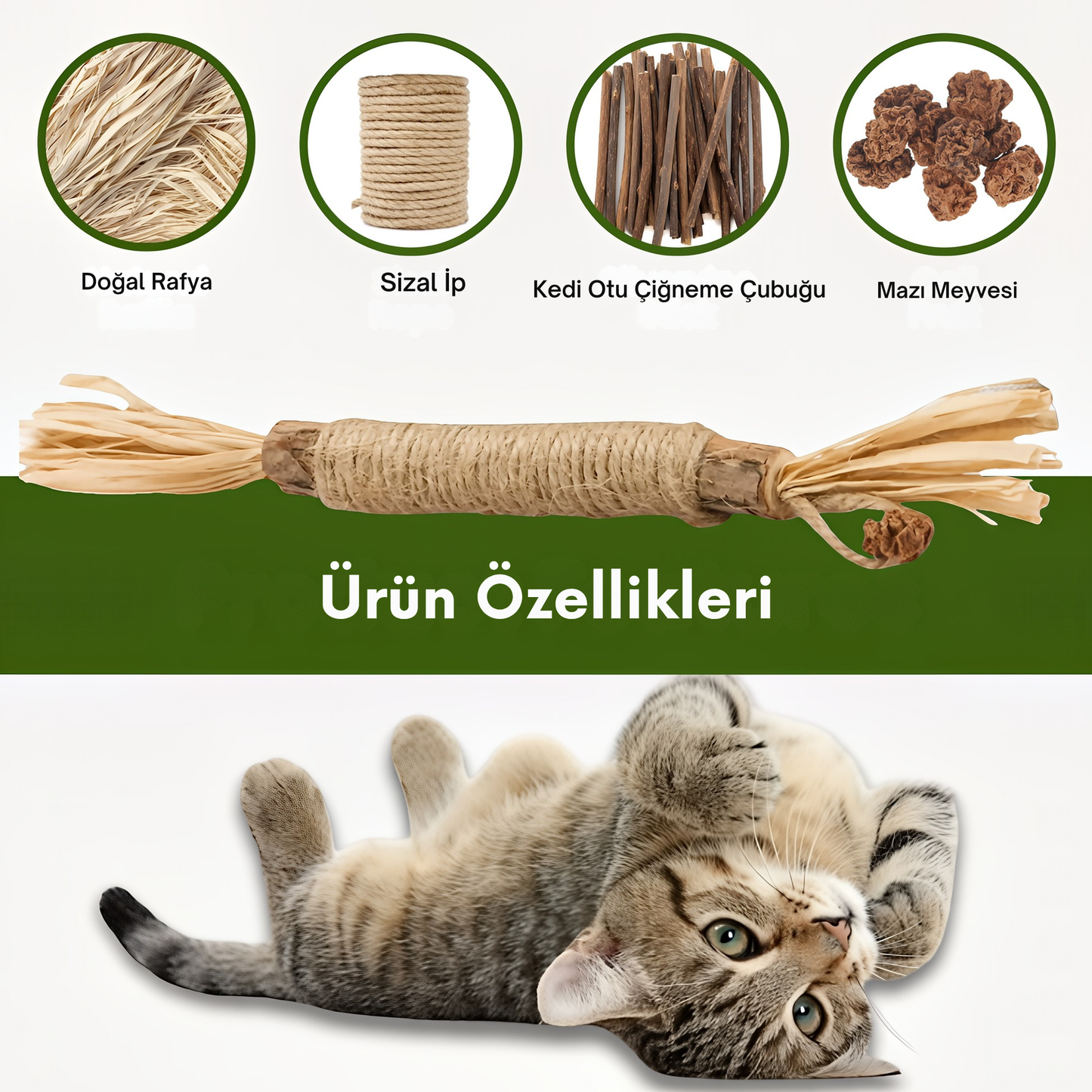 Kediler İçin Doğal Diş Bakımı ve Oyun Çubuğu