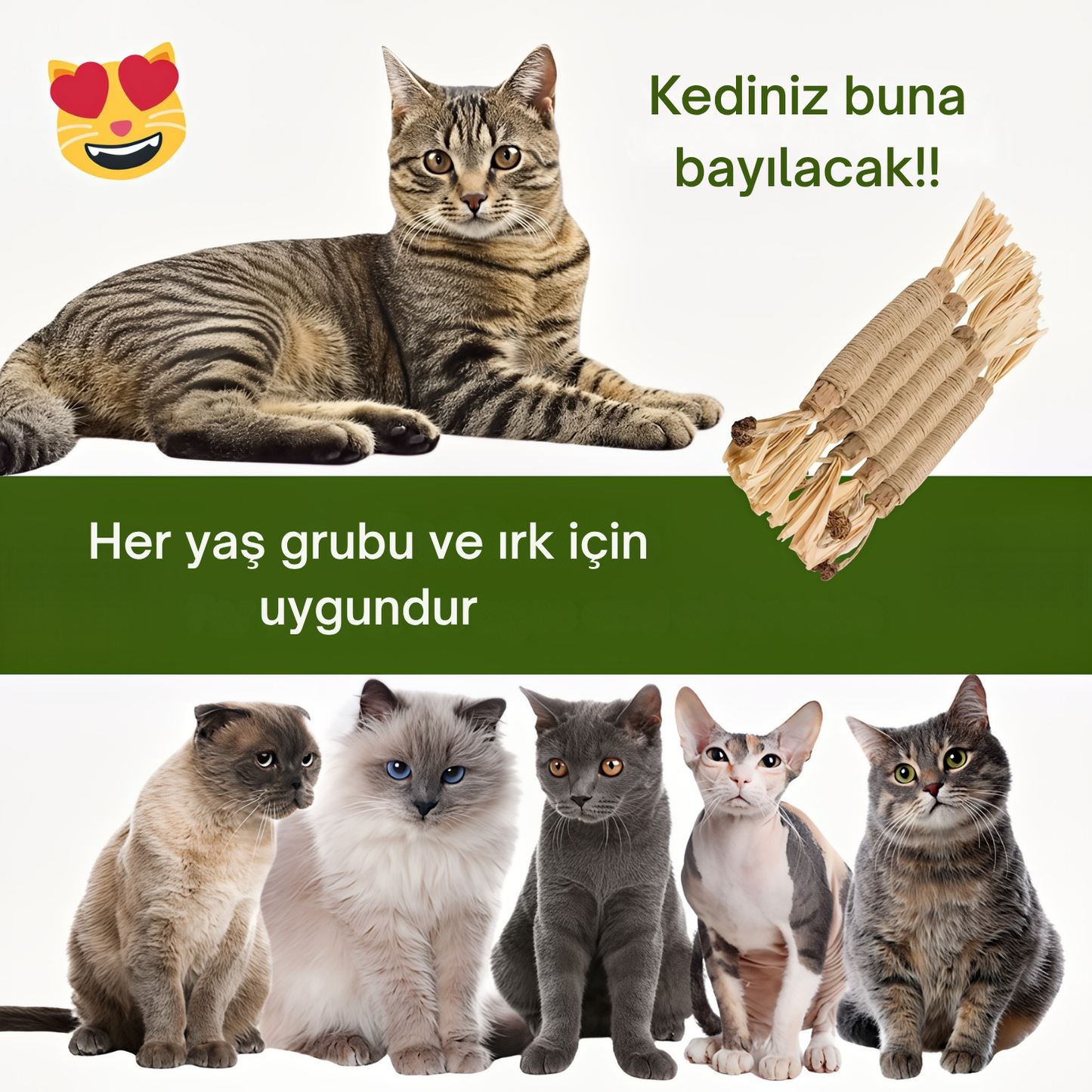 Kediler İçin Doğal Diş Bakımı ve Oyun Çubuğu