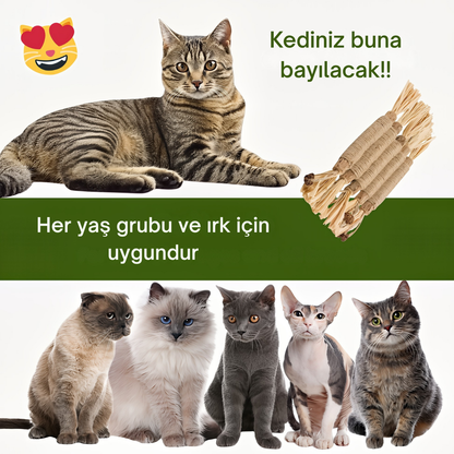 Kediler İçin Doğal Diş Bakımı ve Oyun Çubuğu