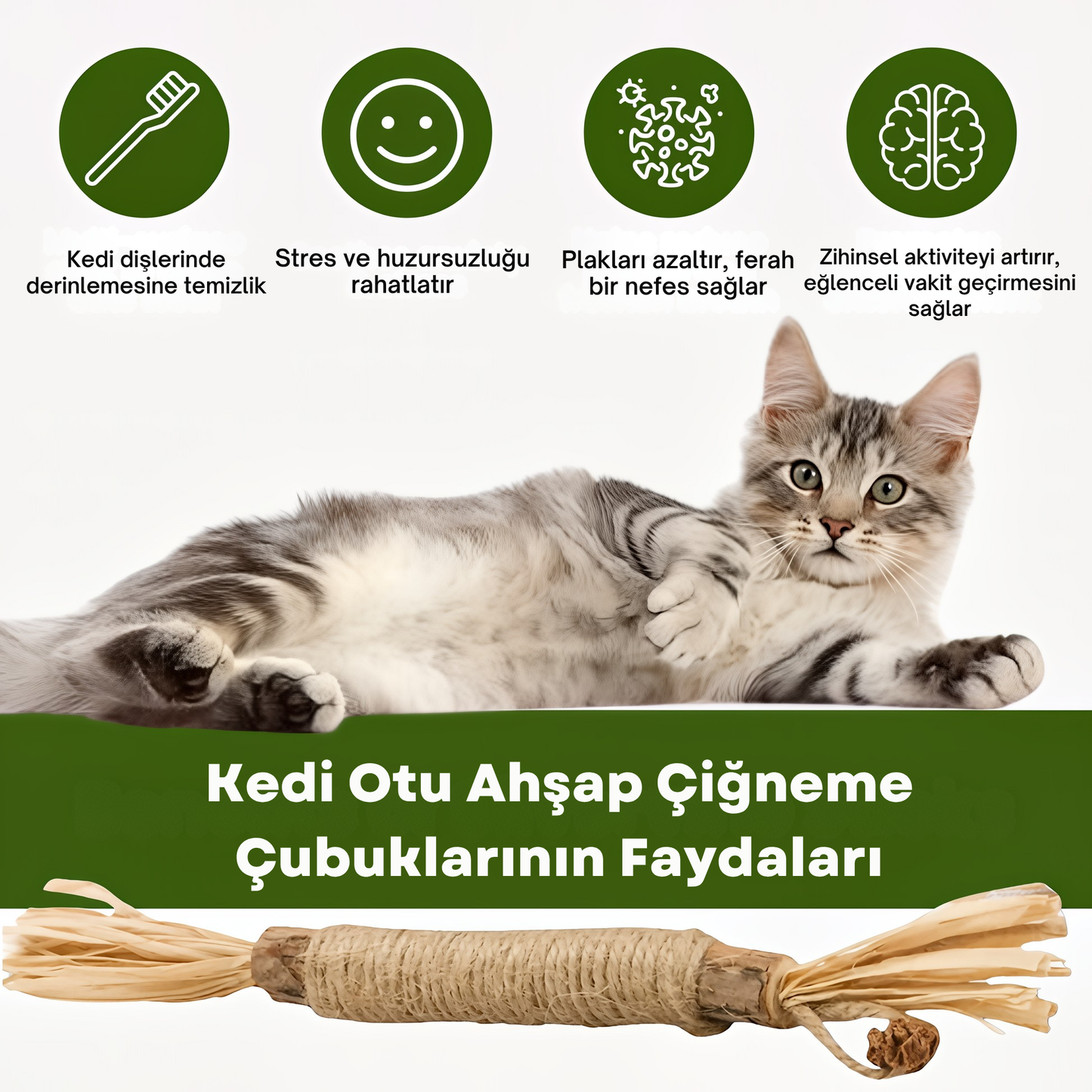Kediler İçin Doğal Diş Bakımı ve Oyun Çubuğu