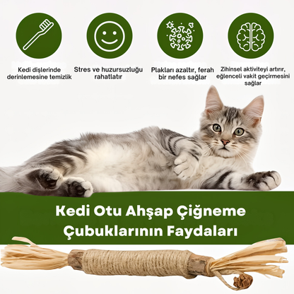 Kediler İçin Doğal Diş Bakımı ve Oyun Çubuğu