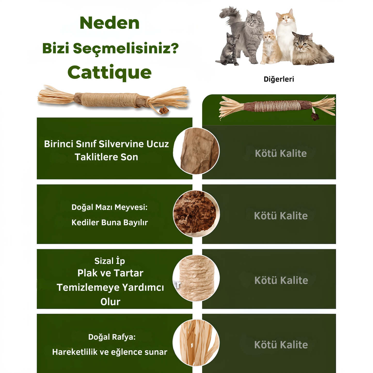 Kediler İçin Doğal Diş Bakımı ve Oyun Çubuğu