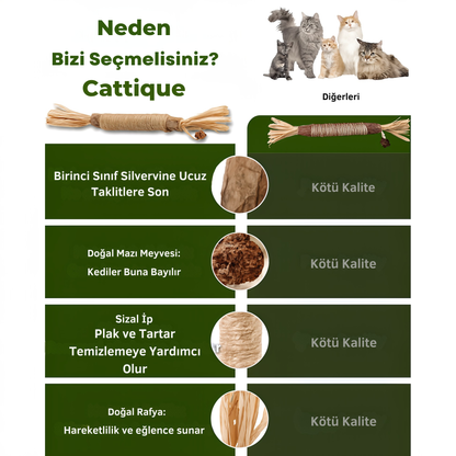 Kediler İçin Doğal Diş Bakımı ve Oyun Çubuğu