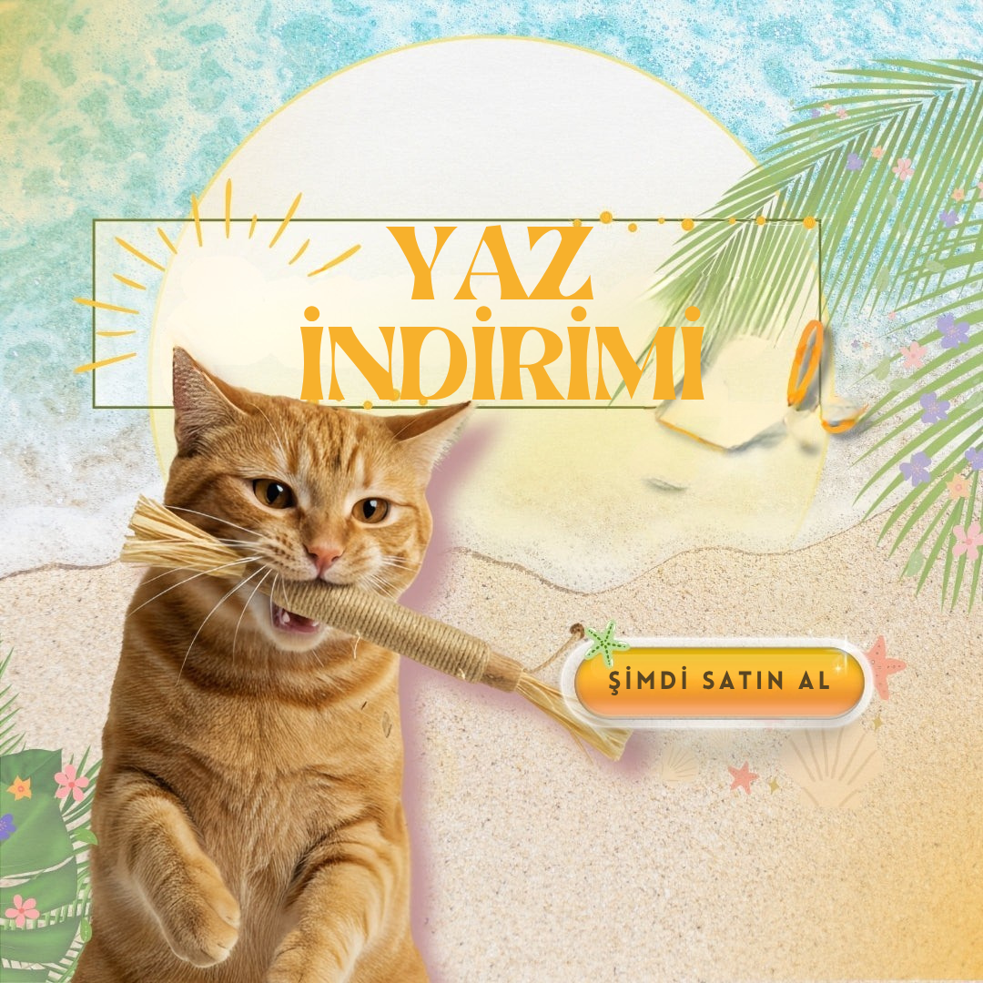 Kediler İçin Doğal Diş Bakımı ve Oyun Çubuğu