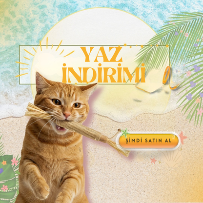 Kediler İçin Doğal Diş Bakımı ve Oyun Çubuğu